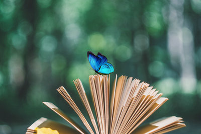 南開大學在職研究生 南開大學在職研究生