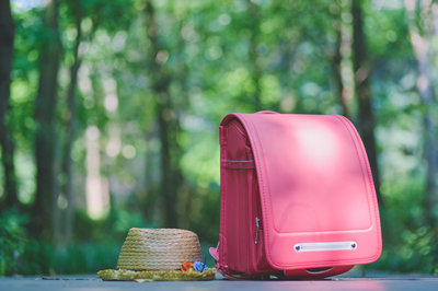 南開大學在職研究生 南開大學在職研究生