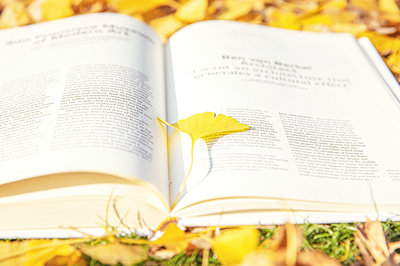 南開大學在職研究生 南開大學在職研究生