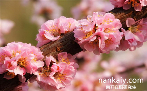 2017年南開(kāi)大學(xué)在職研究生招生情況