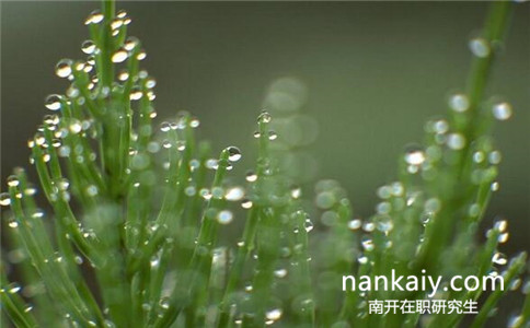 南開大學在職研究生 南開大學在職研究生